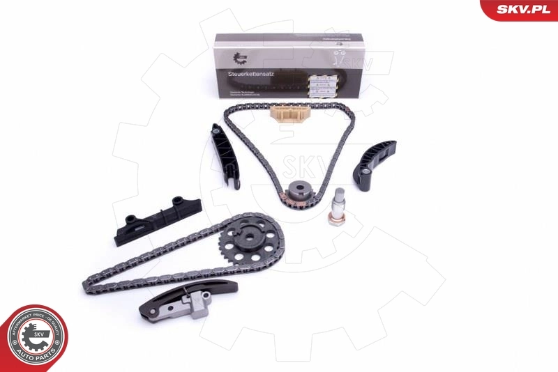 Timing Chain Kit